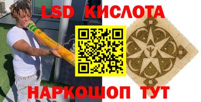 гидропоника Бузулук