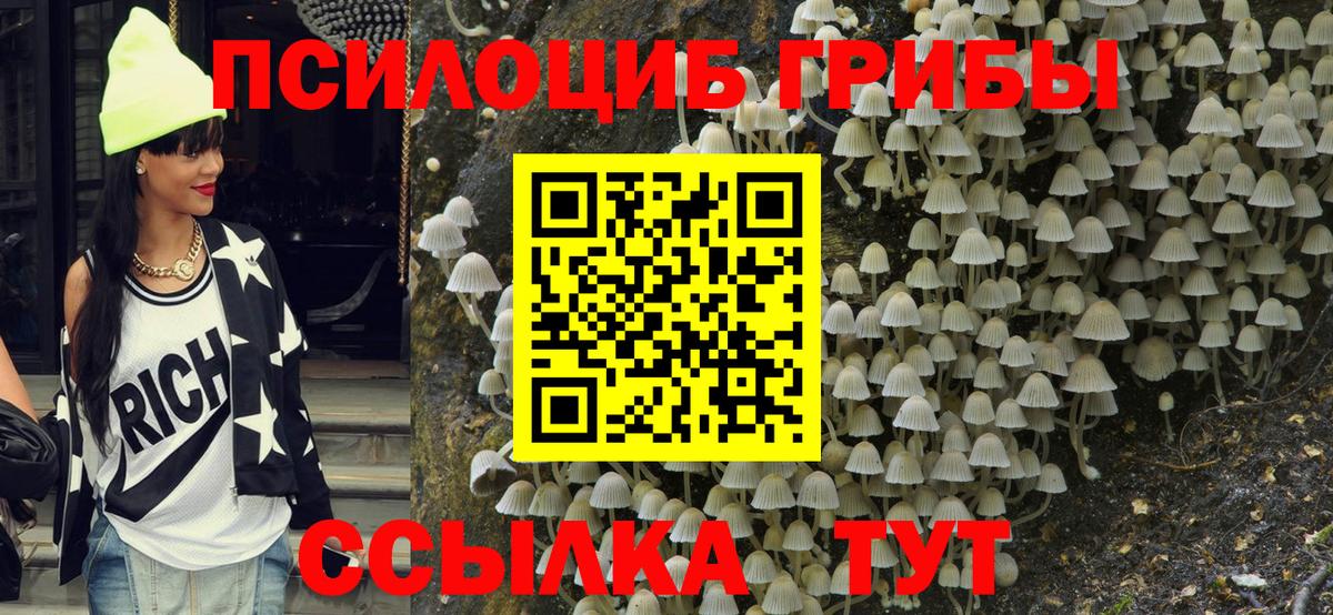 Псилоцибиновые грибы Psilocybine cubensis Набережные Челны