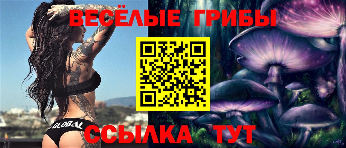Набережные Челны  Галлюциногенные грибы мицелий  Галлюциногенные грибы Psilocybe  Вход с VPN 